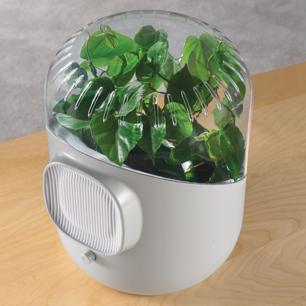 Andrea - Plant-Powered Air Purifier - The Green Head