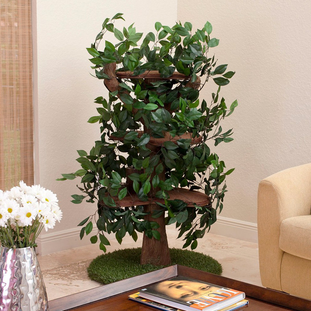 Cat Climbing Tree With Leaves The Green Head