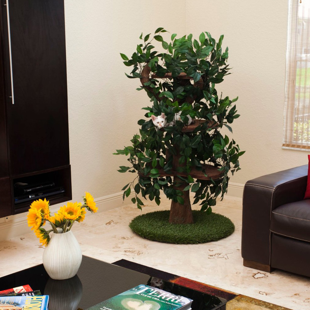 Cat Climbing Tree With Leaves The Green Head