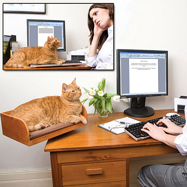 KitIn Box Desktop Cat Bed The Green Head