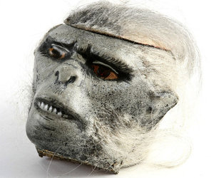 Chilled Monkey Brains - Authentic Prop Head from Indiana Jones And The Temple Of Doom