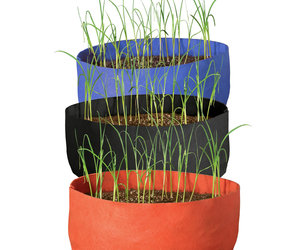 Garlic Grow Bags