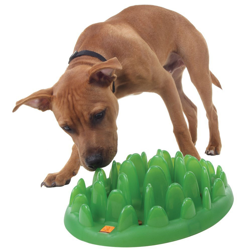 Green by Northmate Tuft of Grass Pet Feeder Slows Eating The Green Head
