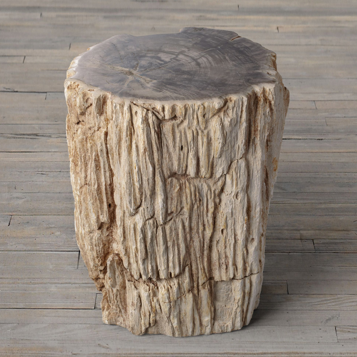 Petrified Wood Stump End Table The Green Head