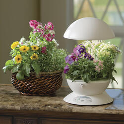 AeroGarden3 - Florist in a Box Set