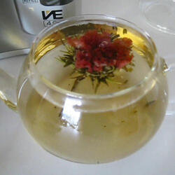 Ancient Blooming Tea - Video Demo
