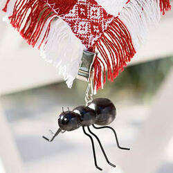 Ant Tablecloth Weights