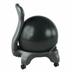 Balance Ball Chair