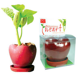 Blooming Heart - Sprouting Plant Magically Says I Love You