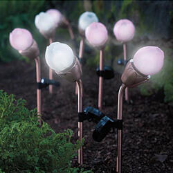 Blossoming Solar Lights  - 