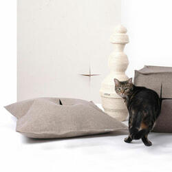 Cats in Style - Designer Cat Products