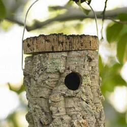 Cork Birdhouse