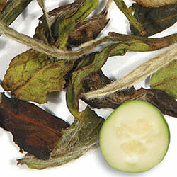 Cucumber White Tea