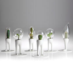 Domsai Terrariums