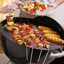 Fire Wire - Flexible Stainless Steel Grilling Skewers