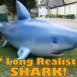 Giant 7' Inflatable Shark
