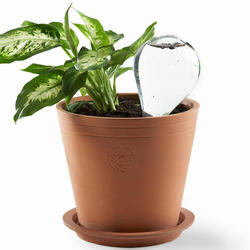 Glass Watering Balls