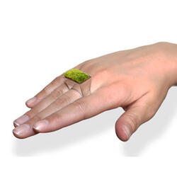 Growing Ring