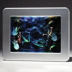 Hypnotic Jellyfish Aquarium