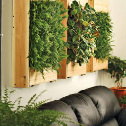 Indoor Living Wall Planters