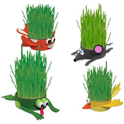 Kitty Can Chews Organic Cat Grass