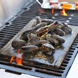 Mario Batali Granite Piastra - Italian Grilling Stone