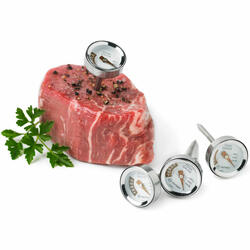 Miniature Steak Thermometers - Set of 4