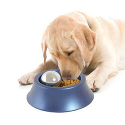 Omega Paw Portion Pacer Ball
