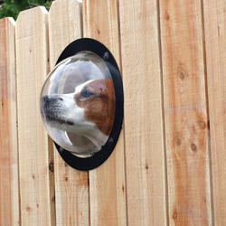 Pet Observation Porthole For Fences