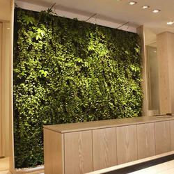 The Plantwall