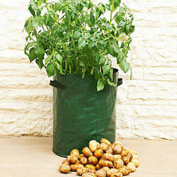 Potato Patio Planter