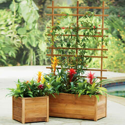 Self-Watering Teak Planters - Built to Last a Lifetime