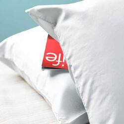 Silk-Filled Pillow