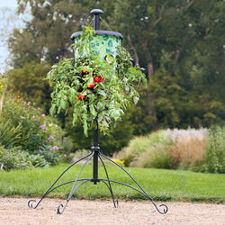 Super-Size Topsy-Turvy Upside-Down Tomato Tree