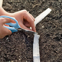 Suttons GrowEasy Seed Tapes
