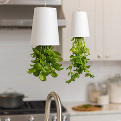 Upside-Down Sky Planter