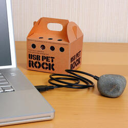 USB Pet Rock