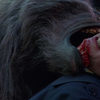 An American Werewolf in London Lifesize Prop