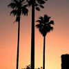 Can You Spot the Hidden Cell Towers?
