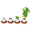 Egglings - Plants You Hatch From an Egg!
