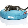 Fatboy Catbag - Ultimate Kittie Bean Bag