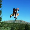 FlyBar Model 1200 - Heavy Duty Trick Pogo Stick