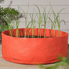 Garlic Grow Bags