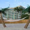 Palm Tree Hammock Stand with Cooling Mist Sprayers & Coconuts!