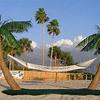 Palm Tree Hammock Stand with Cooling Mist Sprayers & Coconuts!
