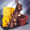 Shiitake Mushroom Log Kit - Grow Your Own!