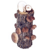 Shiitake Mushroom Log Kit - Grow Your Own!
