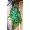 Topsy Turvy Upside Down Tomato, Flower and Vegetable Planter