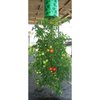 Topsy Turvy Upside Down Tomato, Flower and Vegetable Planter