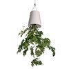 Upside-Down Sky Planter